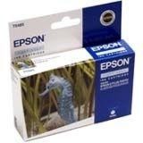 EPSON T048540 LIGHT CYAN FOR R300, RX500